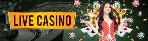 8k8 Online Casino